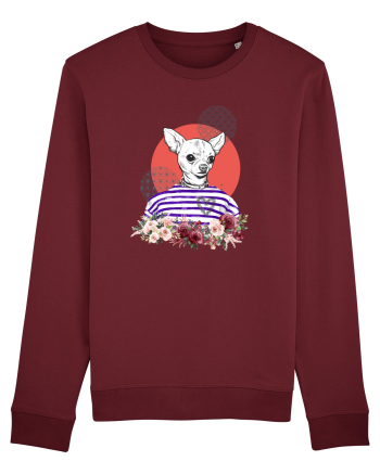 COOL Chihuahua Burgundy