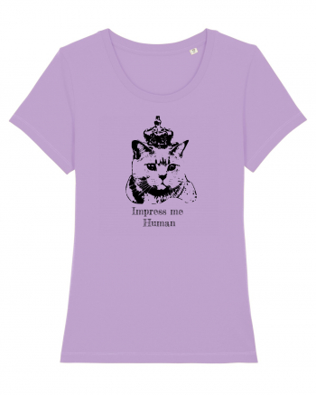 Royal Cat  Lavender Dawn