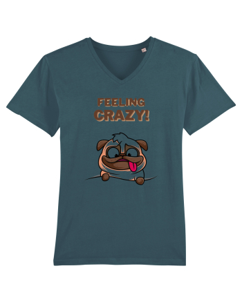 Feeling Crazy Stargazer