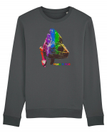 RGB Chameleon Bluză mânecă lungă Unisex Rise