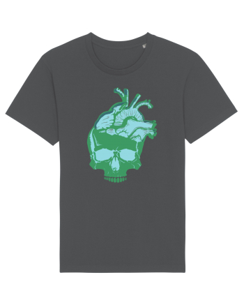 Gandeste cu inima (combinatii verde) Anthracite