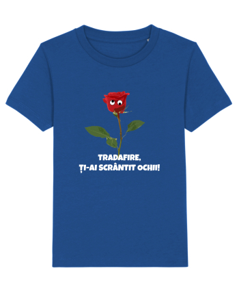 Trandafire, ti-ai scrantit ochii Majorelle Blue