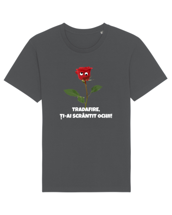 Trandafire, ti-ai scrantit ochii Anthracite