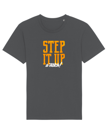 Step it Up a Notch! Anthracite