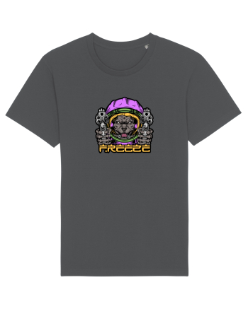 Freeze! Anthracite