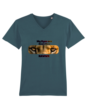 Lion Eyes Stargazer