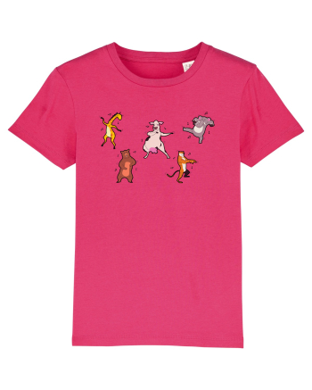 Animale Dansatoare Raspberry