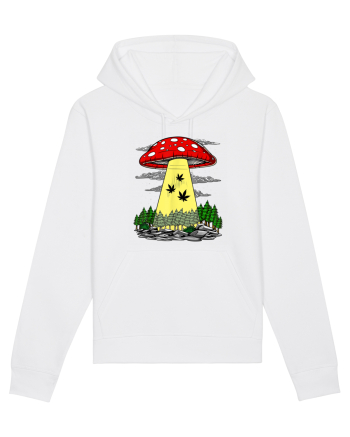 Abduction Magic Mushrooms White