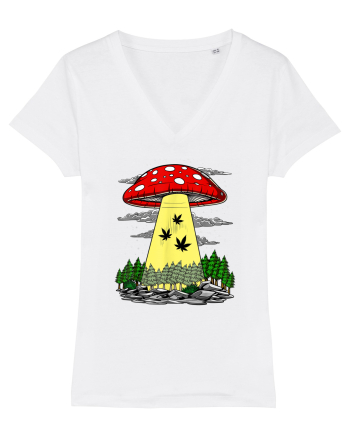 Abduction Magic Mushrooms White