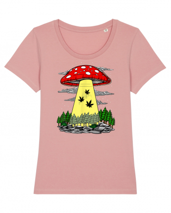 Abduction Magic Mushrooms Canyon Pink