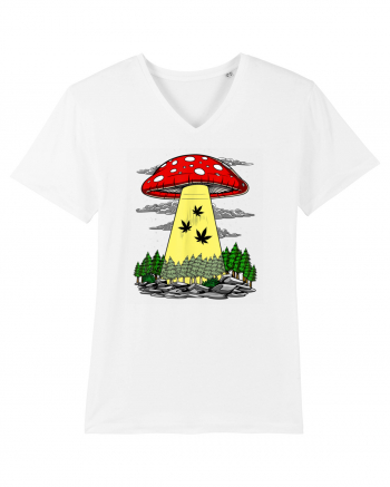 Abduction Magic Mushrooms White