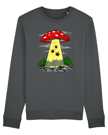Abduction Magic Mushrooms Anthracite