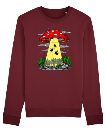 Abduction Magic Mushrooms Burgundy