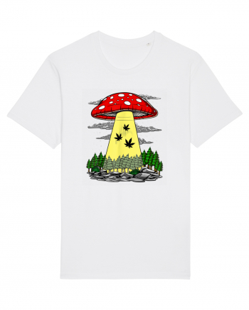 Abduction Magic Mushrooms White