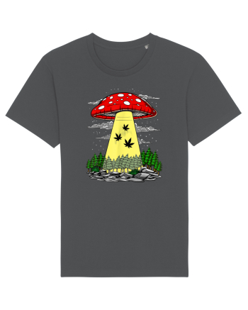 Abduction Magic Mushrooms Anthracite