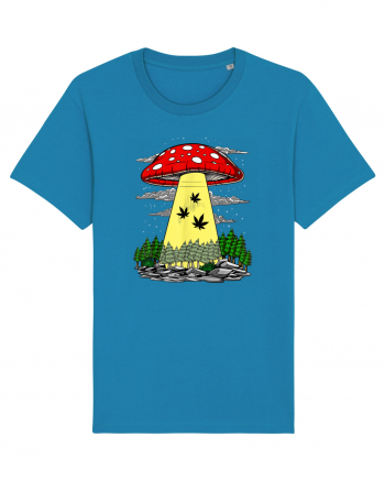Abduction Magic Mushrooms Azur