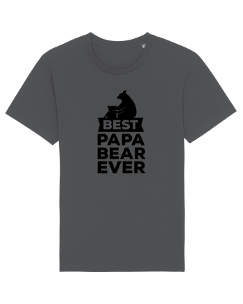 Best Papa Bear Anthracite