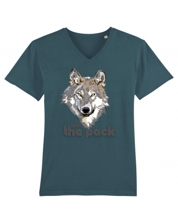 join the pack Stargazer