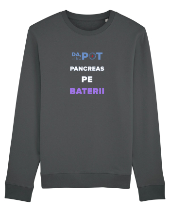 Pancreas pe baterii Anthracite