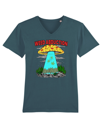 Weed Abduction Stargazer