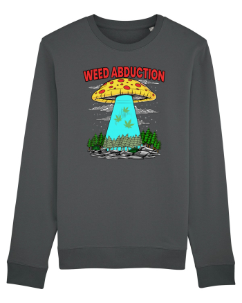 Weed Abduction Anthracite