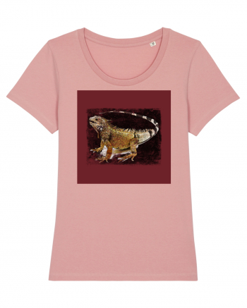 iguana Canyon Pink