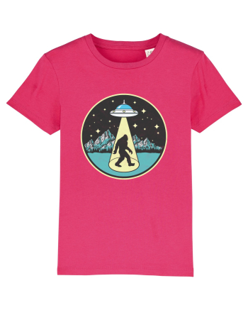 Bigfoot Alien Abduction Raspberry