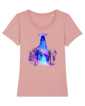 Bigfoot Alien Abduction Canyon Pink