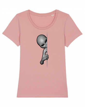 Grey Alien Peeking Canyon Pink