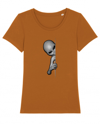 Grey Alien Peeking Roasted Orange