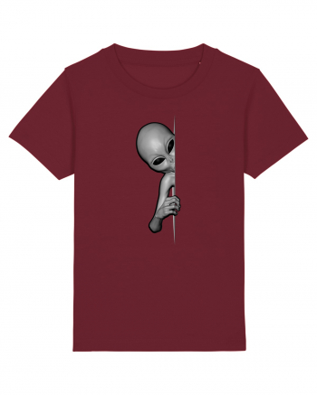 Grey Alien Peeking Burgundy