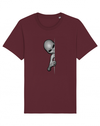 Grey Alien Peeking Burgundy