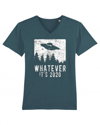 Whatever I'ts 2020 Stargazer