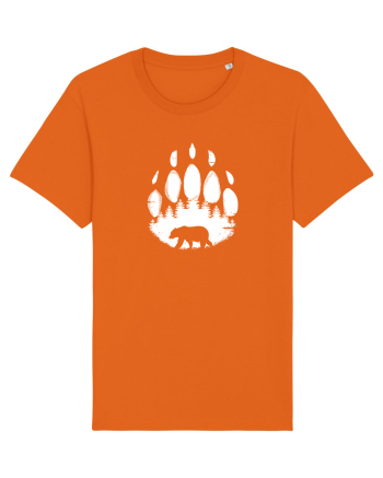 Ursul Brun Regele Pădurii Bright Orange