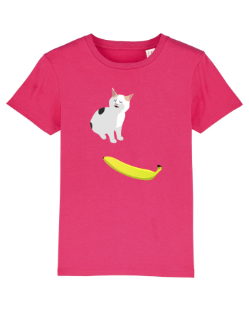 Cat no like banana Raspberry