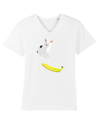 Cat no like banana White