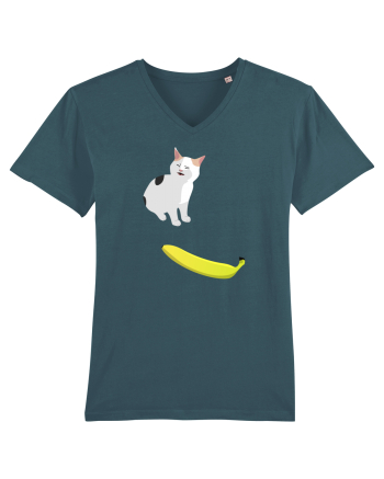 Cat no like banana Stargazer
