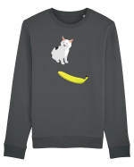 Cat no like banana Bluză mânecă lungă Unisex Rise