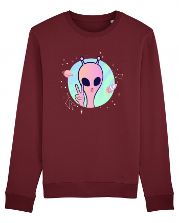 Cool Trippy Pink Alien Burgundy