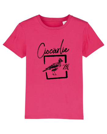 CIOCÂRLIE Raspberry
