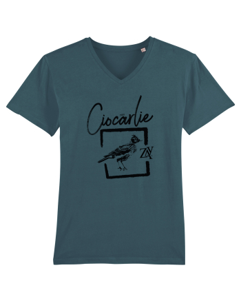 CIOCÂRLIE Stargazer