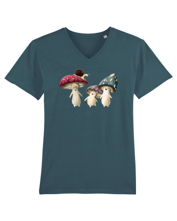 The Mushrooms Stargazer