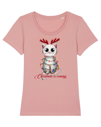 Christmas Kitty Canyon Pink