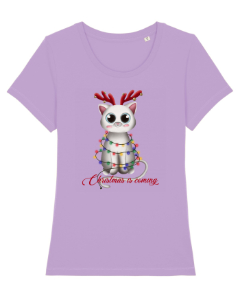 Christmas Kitty Lavender Dawn