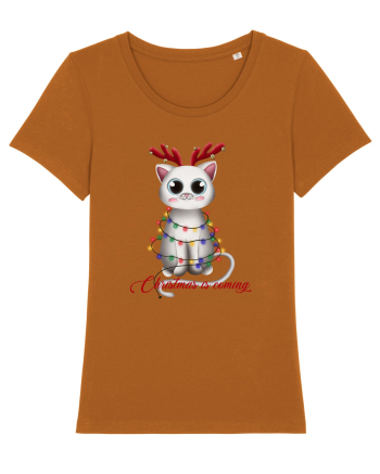Christmas Kitty Roasted Orange