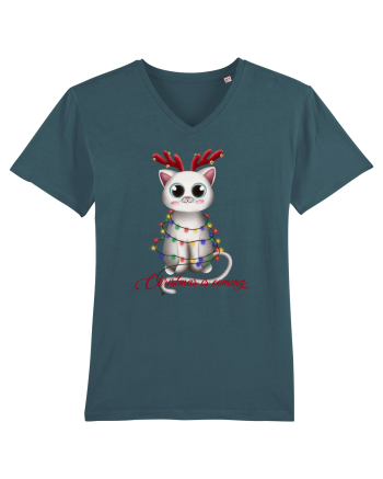 Christmas Kitty Stargazer