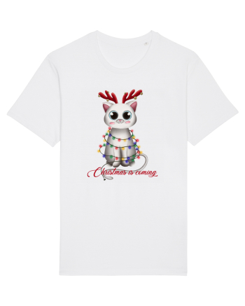 Christmas Kitty White