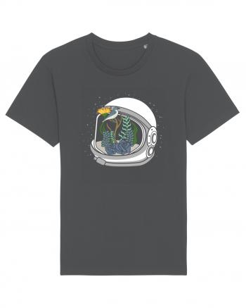 Astronaut Garden Anthracite