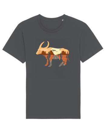 Desert Buffalo Anthracite