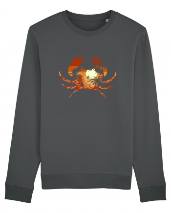 Summer Beach Crab Anthracite